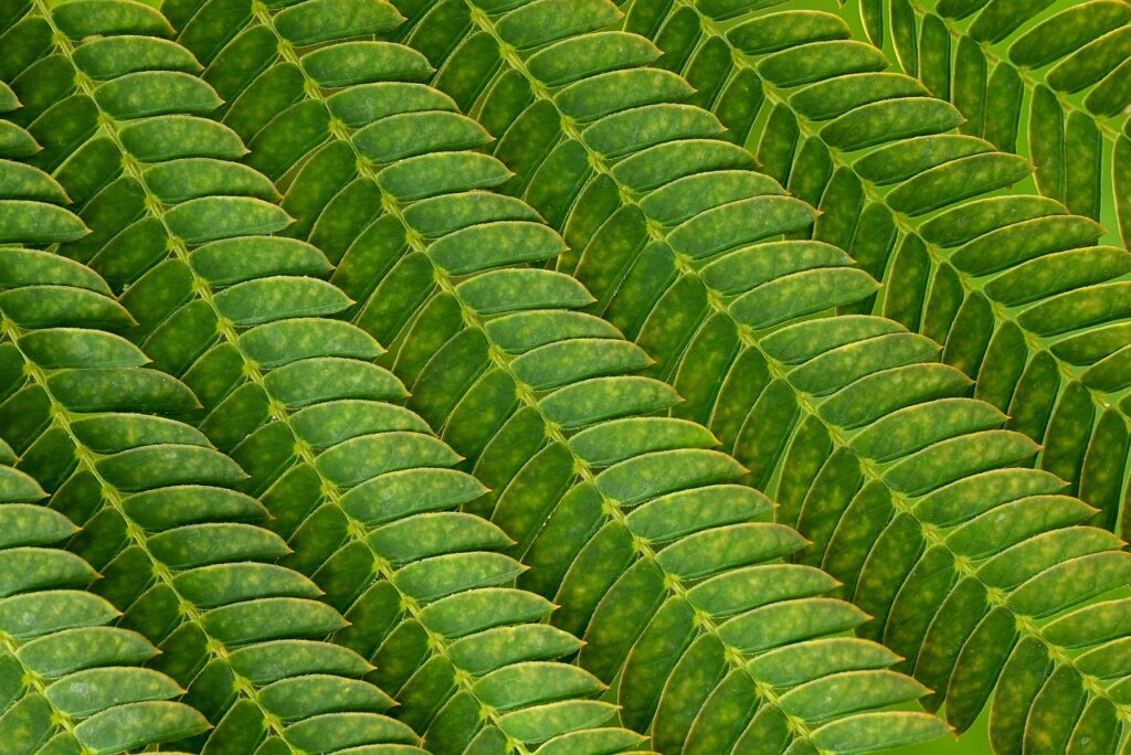 介護食の定期便で受けられる特典はどれがおすすめ？