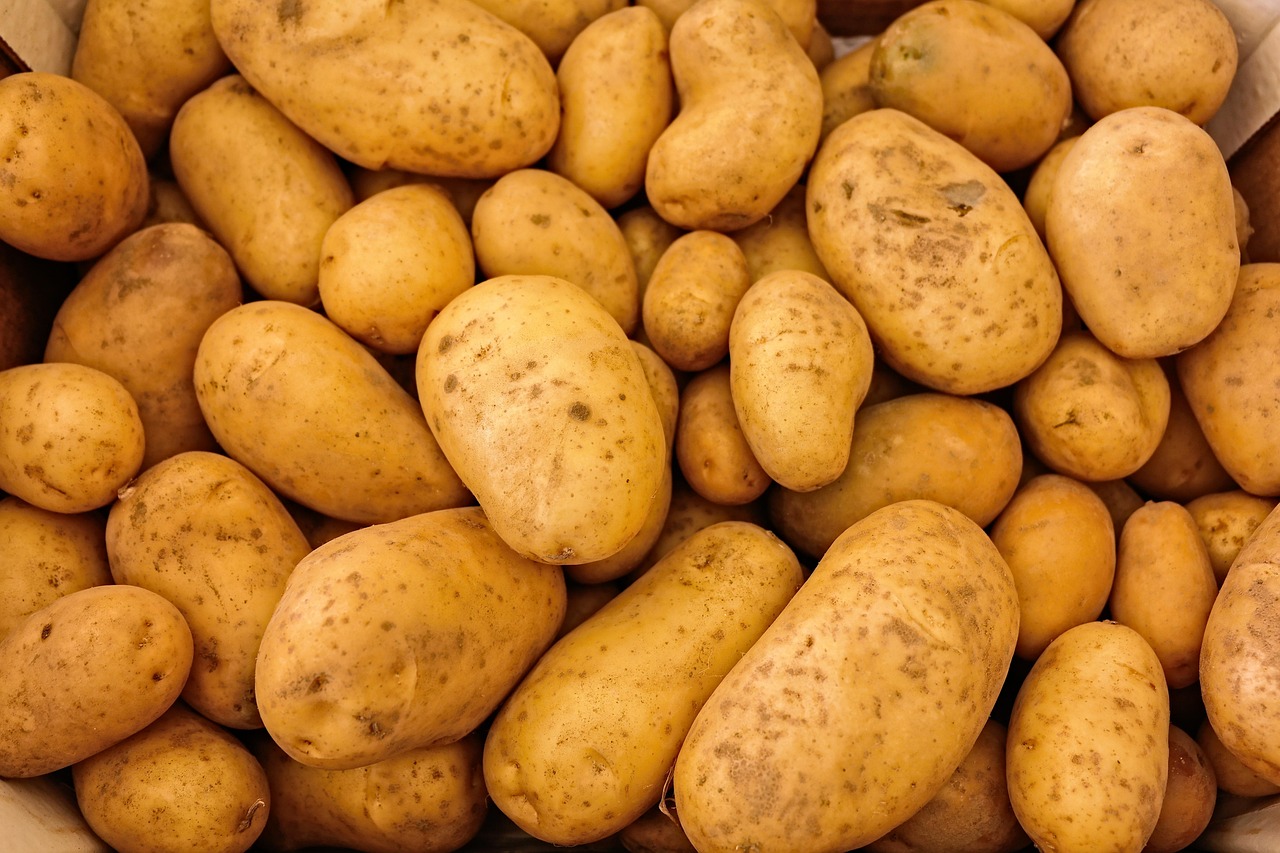 介護食を温めるだけで簡単に作れるレンジ料理は？