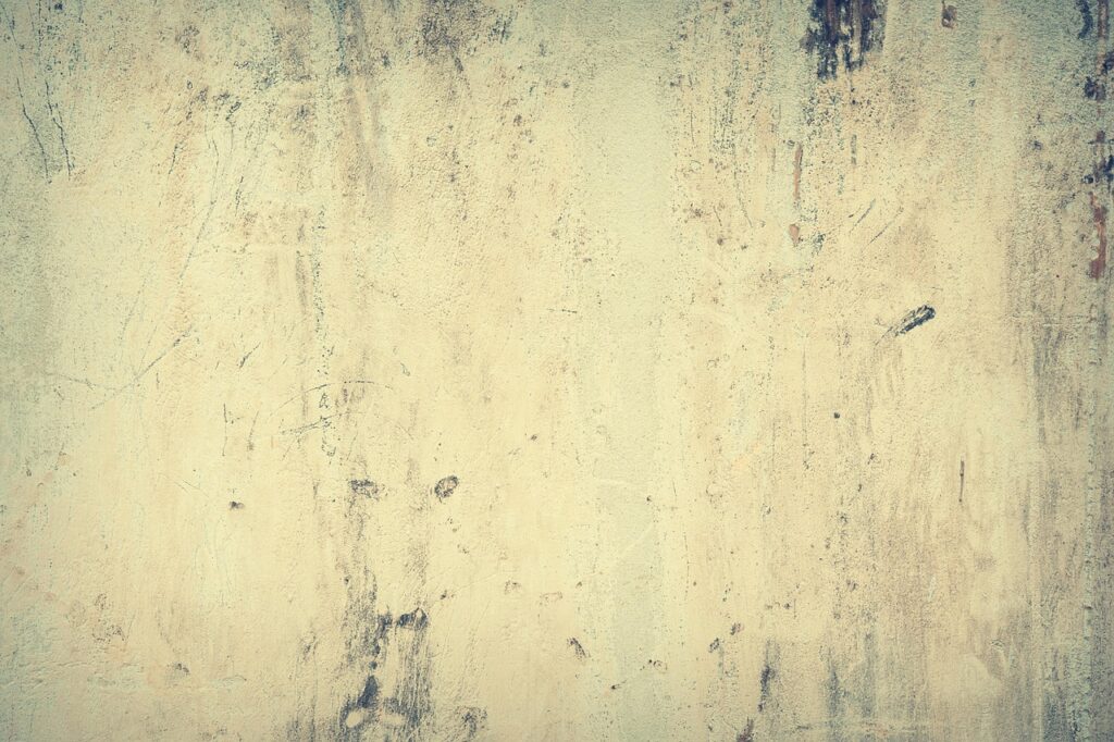 高齢者にぴったりの食べやすい食事レシピは？