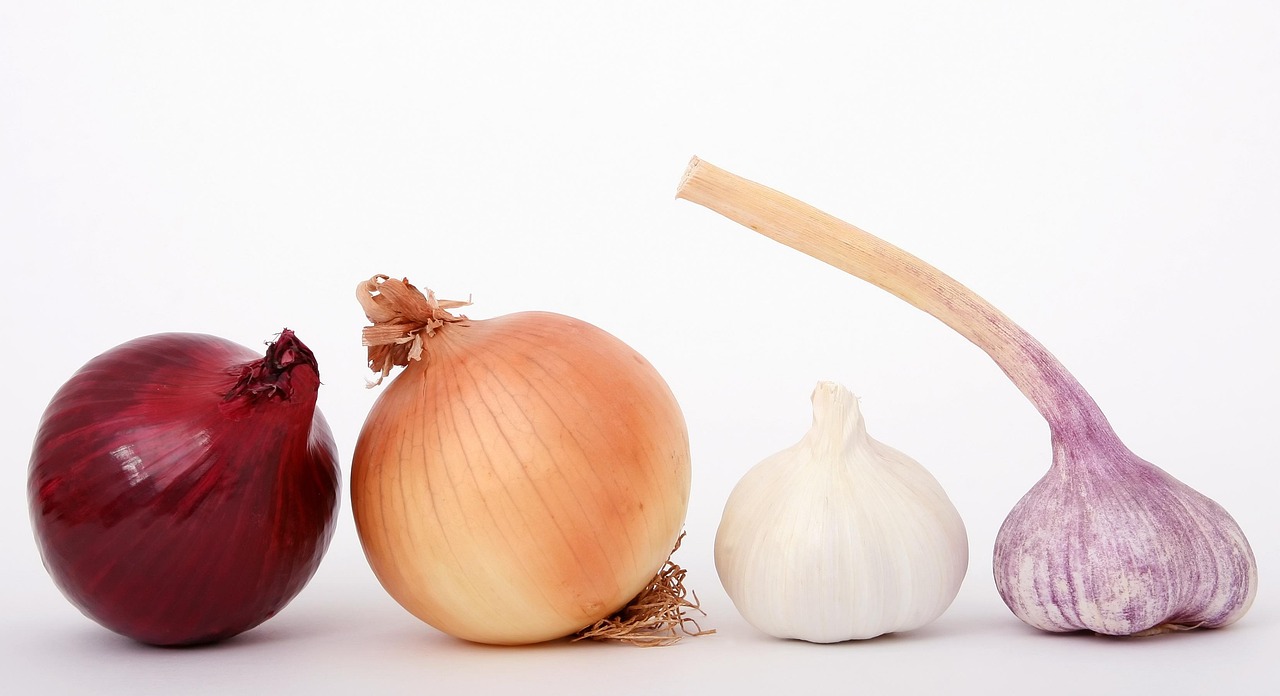 介護食の使いやすさに関する口コミはどこで見つけられる？