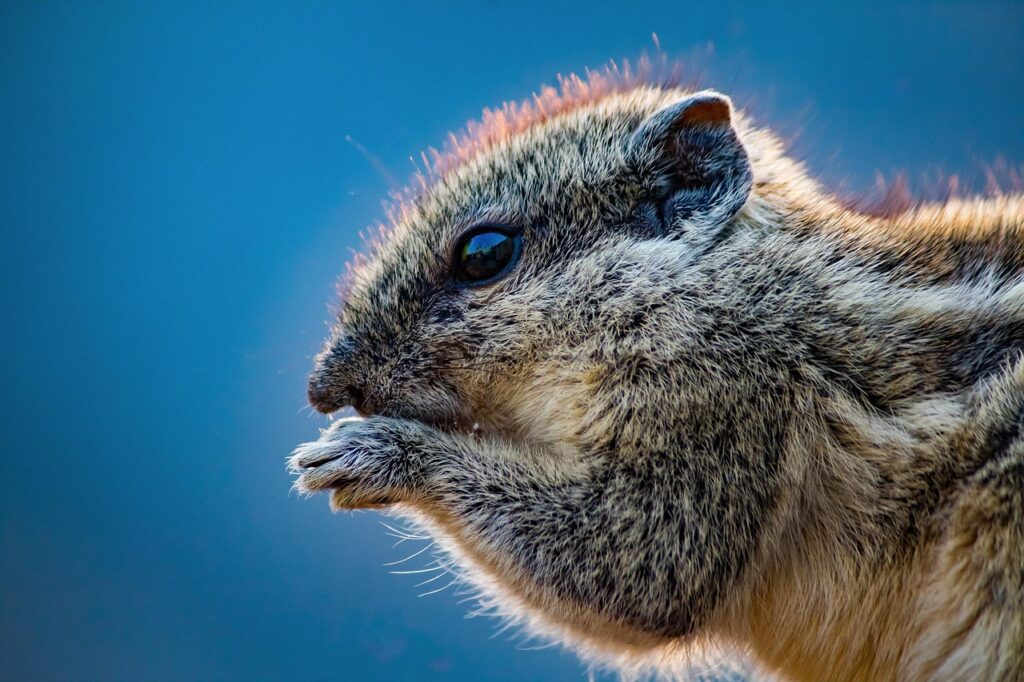 嚥下食の味に関する口コミはどこで見つけられる？