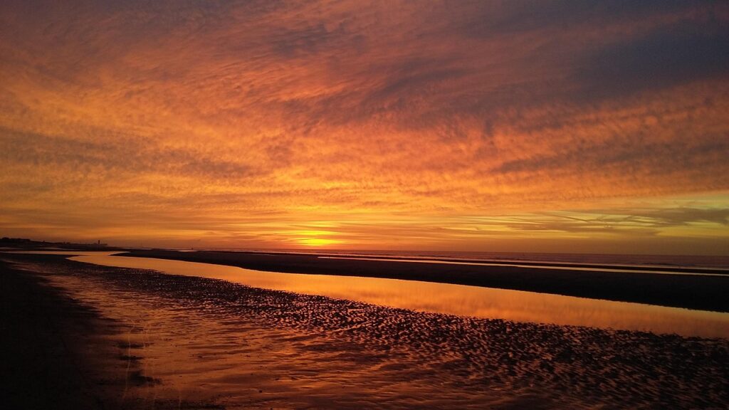 介護食セットを購入すると得られる特典は？