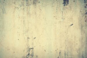 高齢者向けの嚥下食レシピの代替案は何ですか？