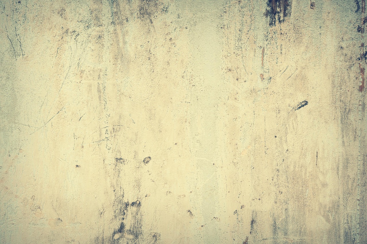 高齢者向けの嚥下食レシピの代替案は何ですか？