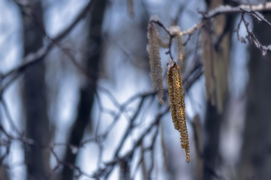 アレルギー表示について知っておくべき重要なポイントは？