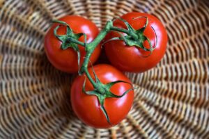 介護食を利用した人々の感想はどのようなものですか？